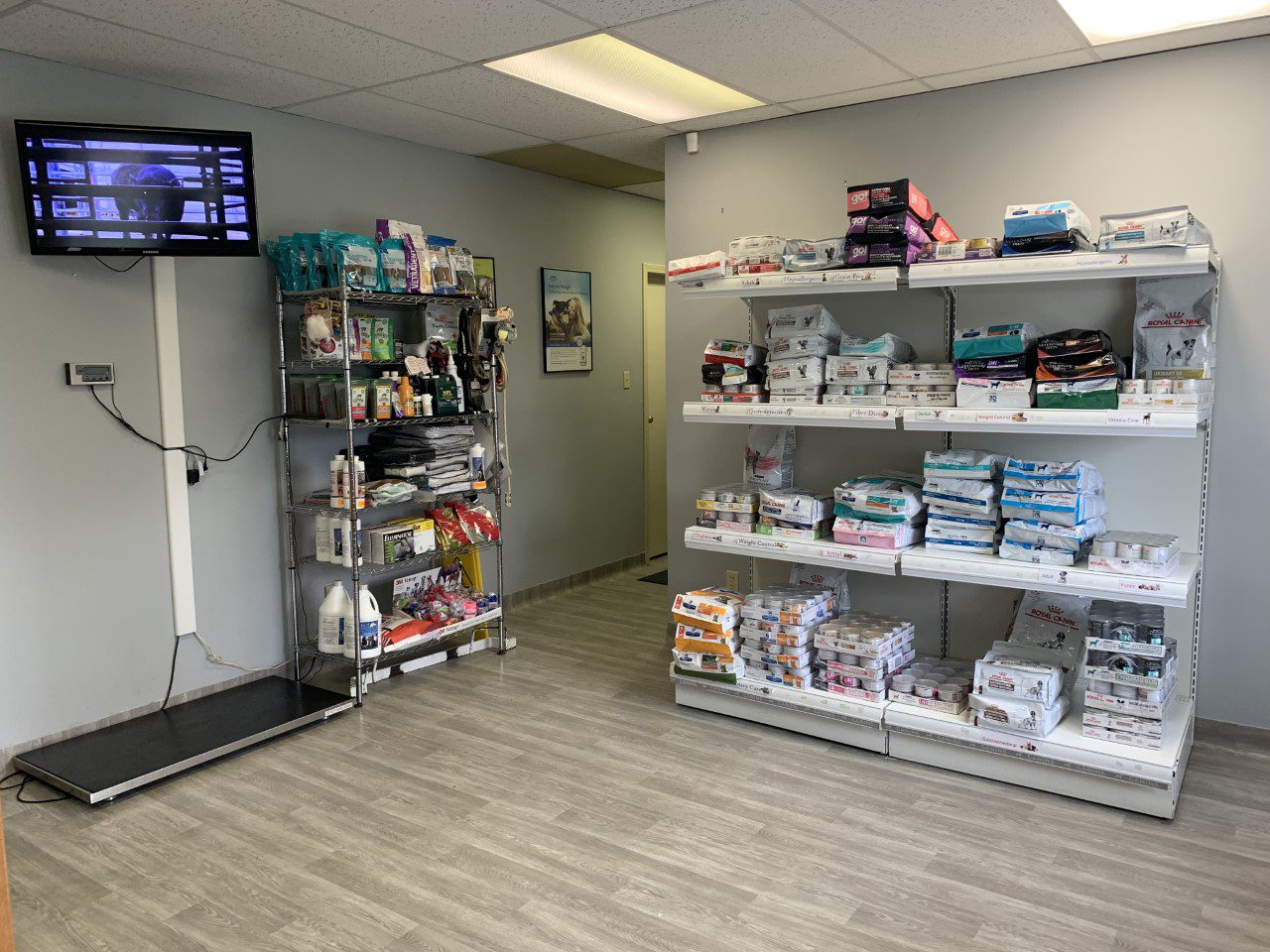 home euthanasias and palliative care home euthanasias and palliative care